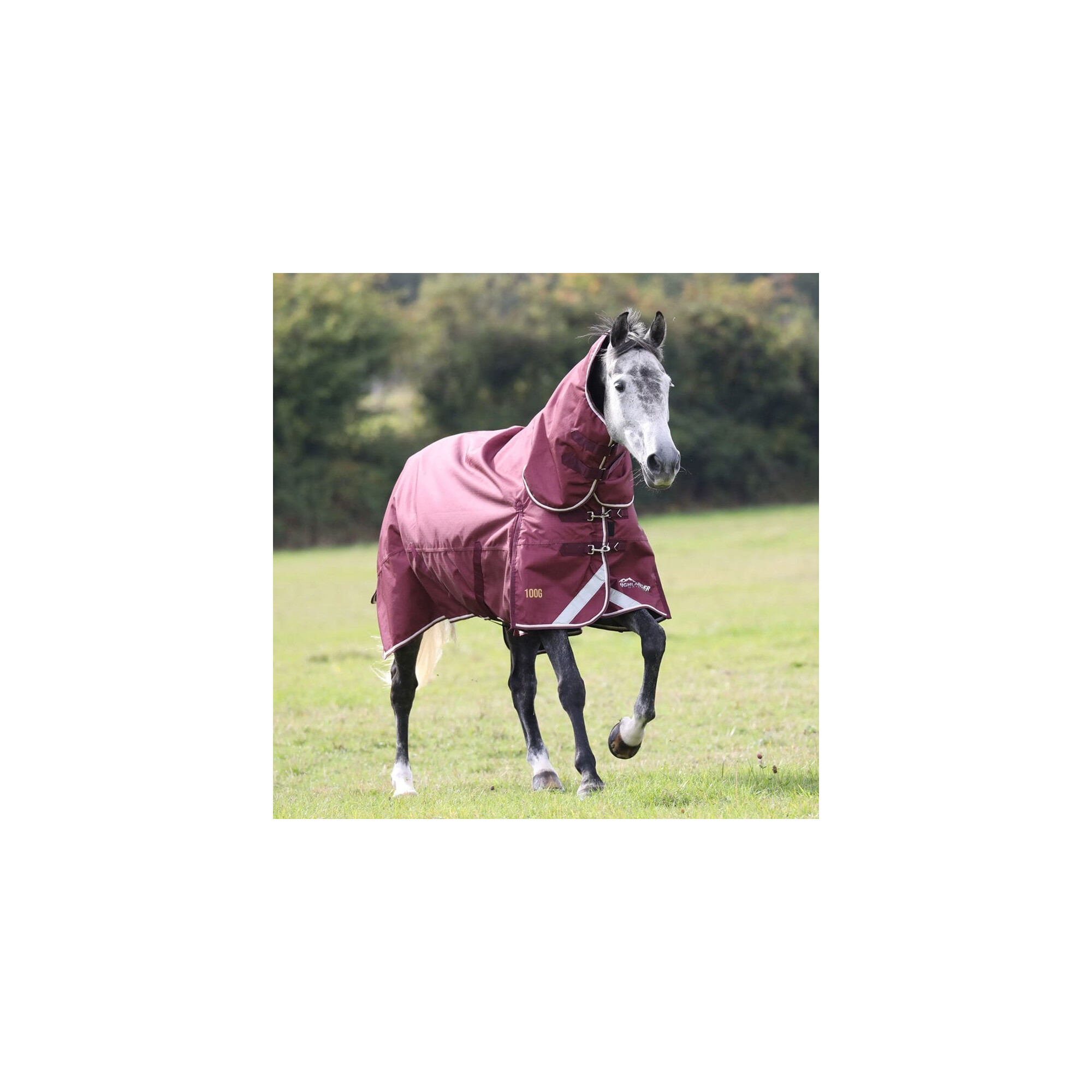 Shires Highlander Combo Deals ⇒ Best Sales in UK