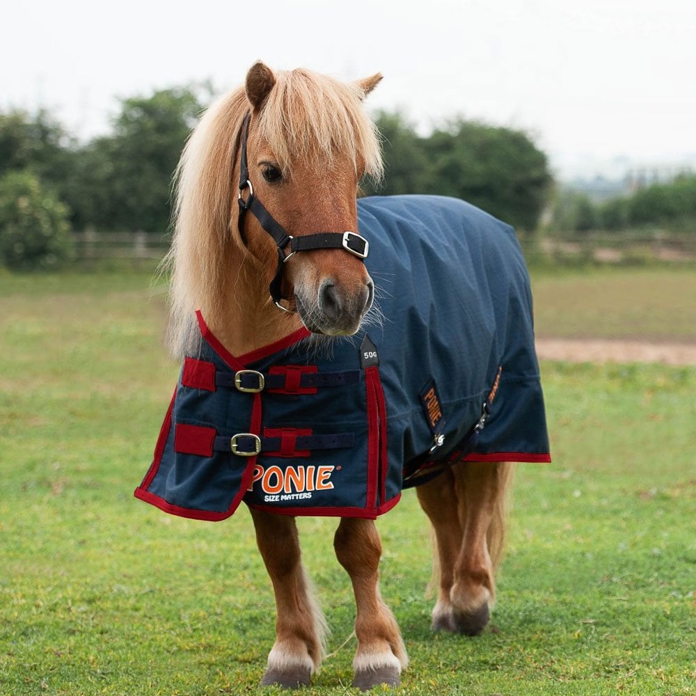 Gallop Ponie 50g Turnout Rug Navy
