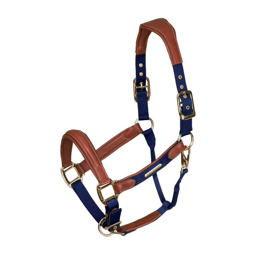 Shires Shires Velociti Lusso Padded Leather Headcollar in Navy