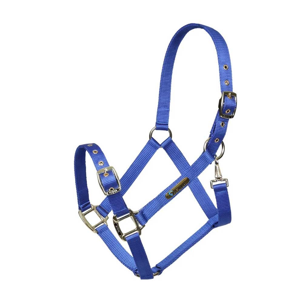Shires Shires Arma Adjustable Headcollar in Blue