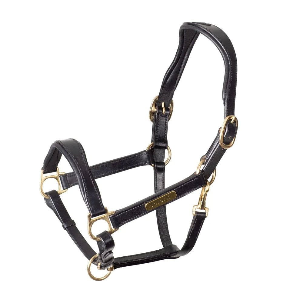 Shires Shires Velociti Rapida Cushioned Leather Headcollar in Black