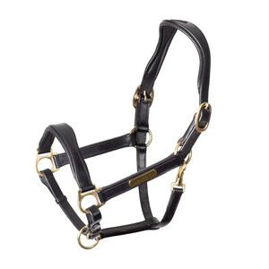 Shires Shires Velociti Rapida Cushioned Leather Headcollar in Black