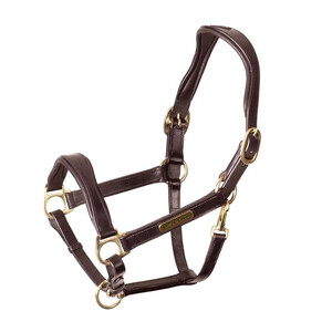 Shires Shires Velociti Rapida Cushioned Leather Headcollar in Havana