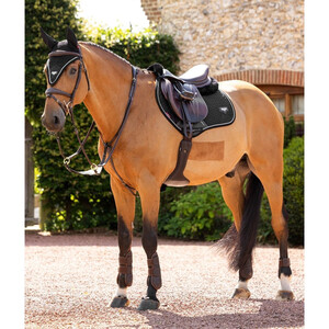 LeMieux LeMieux Puissance Suede Close Contact Square in Black