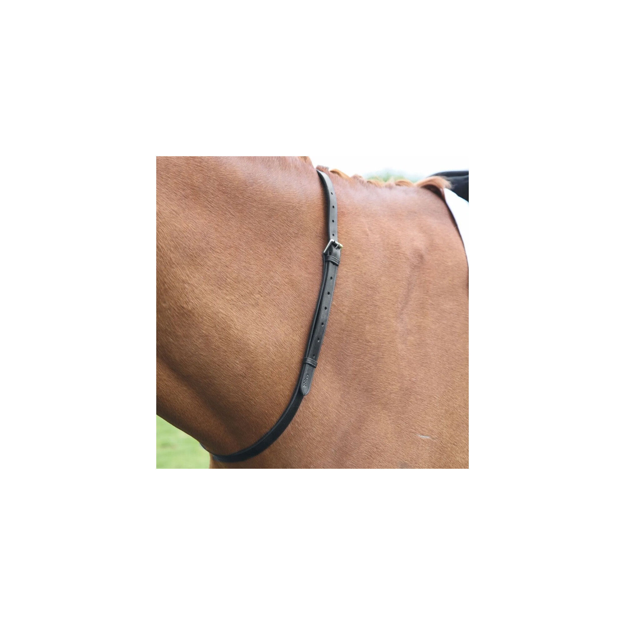 Tracolla Da Fantino In Pelle Shires Blenheim – Taglia 3/4, Colore Nero