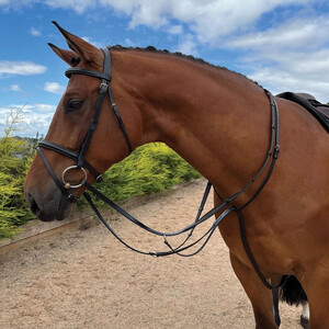 Houghton Country Houghton Country Classic Running Martingale in Brown