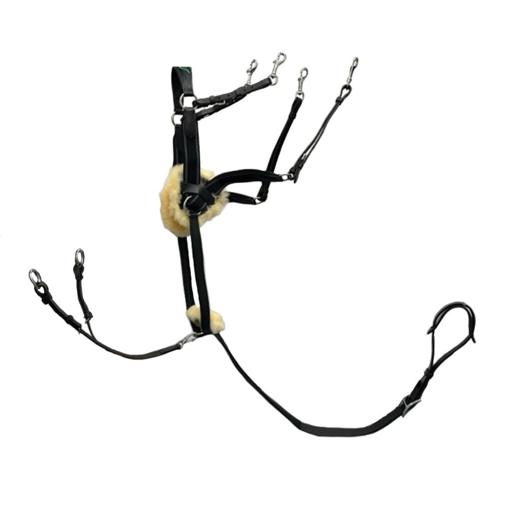 Houghton Country Houghton Country Premium Competition Breastplate in Black