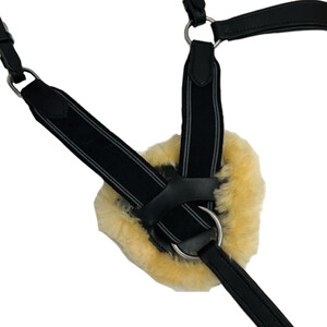 Houghton Country Houghton Country Premium Competition Breastplate in Black