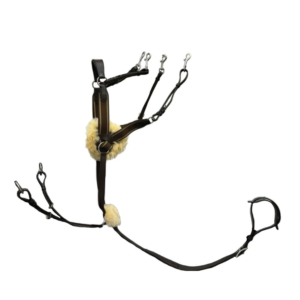 Houghton Country Houghton Country Premium Competition Breastplate in Brown