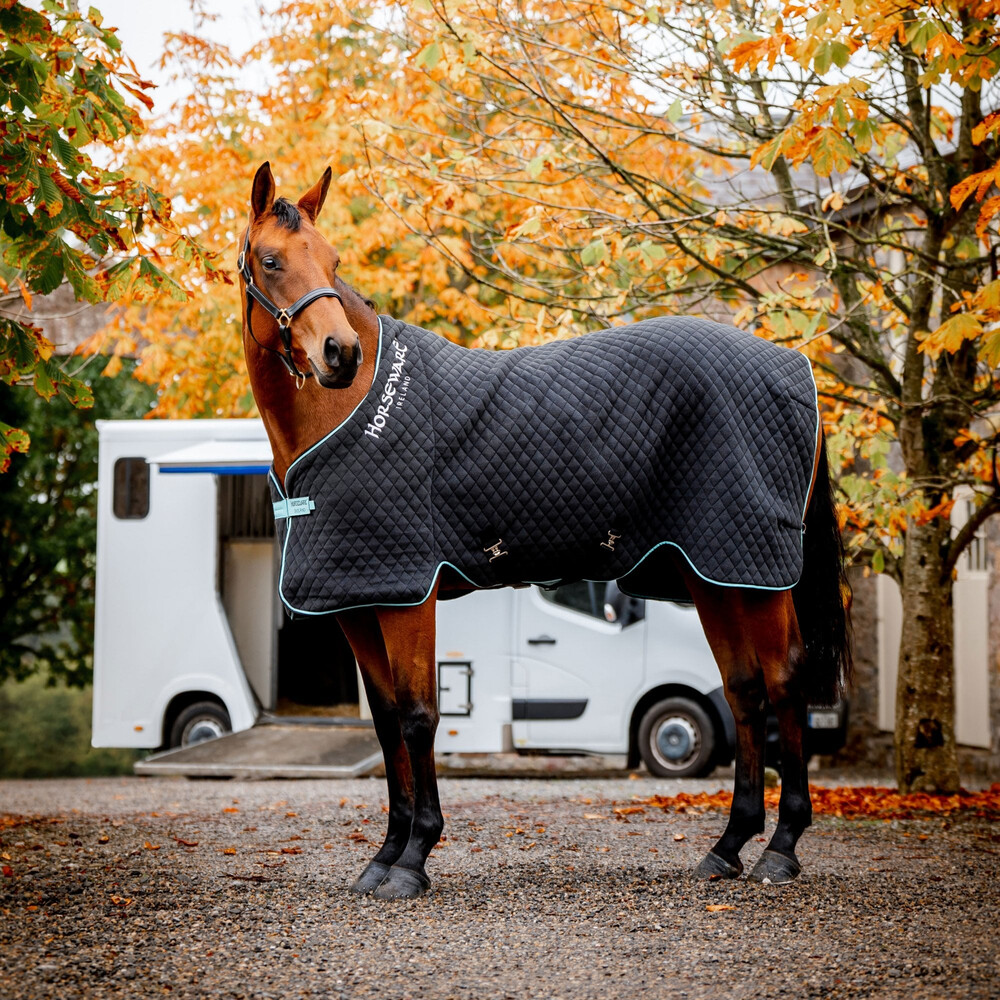 Horseware Thermal Cooler Black