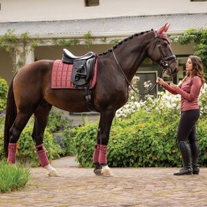 LeMieux LeMieux Loire Classic Dressage Square in Orchid