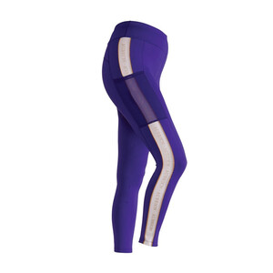Shires Shires Aubrion Team Shield Riding Tights in Blue