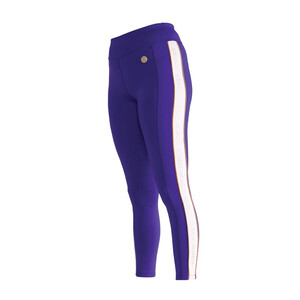 Shires Shires Aubrion Team Shield Riding Tights in Blue