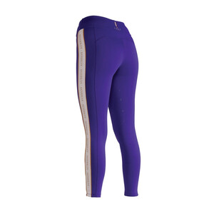 Shires Shires Aubrion Team Shield Riding Tights in Blue