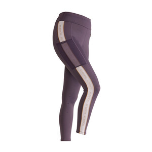 Shires Shires Aubrion Team Shield Riding Tights in Grey
