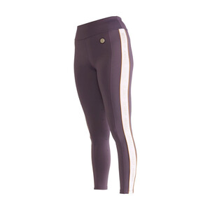 Shires Shires Aubrion Team Shield Riding Tights in Grey
