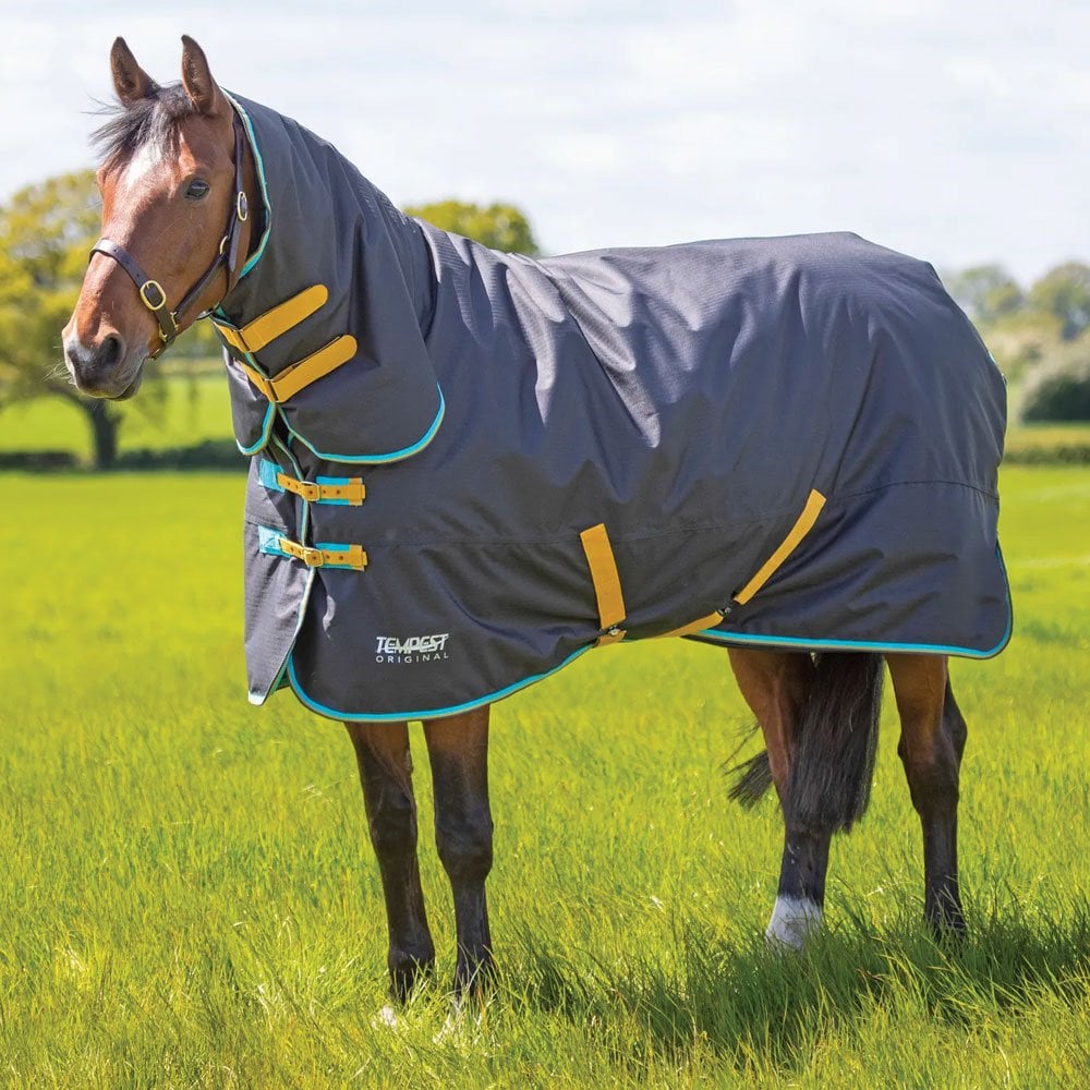Shires Tempest Original 300g Combo Turnout Rug Black