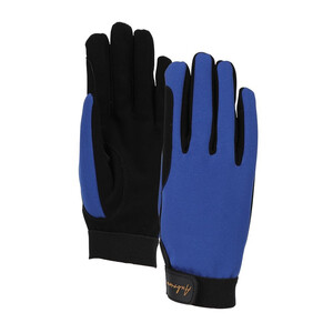 Shires Shires Aubrion Team Winter Riding Gloves in Blue