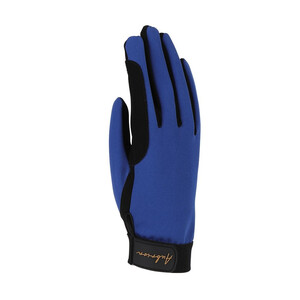 Shires Shires Aubrion Team Winter Riding Gloves in Blue