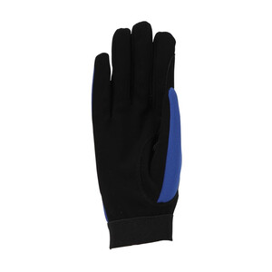 Shires Shires Aubrion Team Winter Riding Gloves in Blue