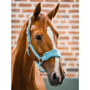 Horseware Horseware Signature Grooming Headcollar in Blue Haze
