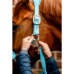 Horseware Horseware Signature Grooming Headcollar in Blue Haze
