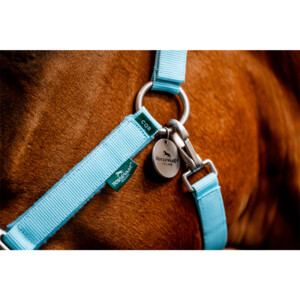 Horseware Horseware Signature Grooming Headcollar in Blue Haze