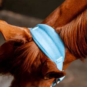 Horseware Horseware Signature Grooming Headcollar in Blue Haze