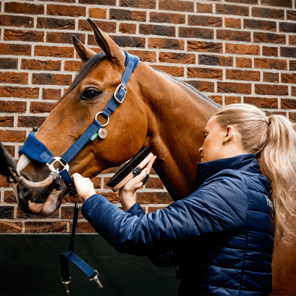 Horseware Signature Grooming Headcollar Navy