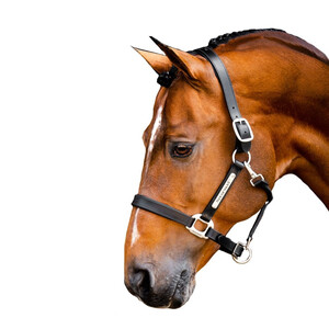 Horseware Horseware Signature Leather Headcollar in Black