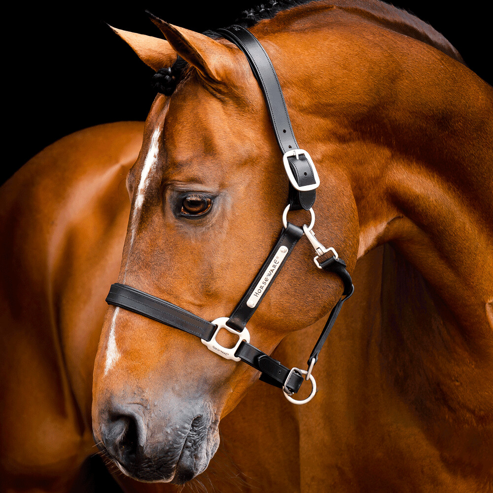 Horseware Signature Leather Headcollar Black