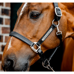 Horseware Horseware Signature Leather Headcollar in Black