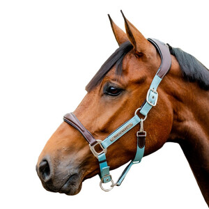 Horseware Horseware Signature Competition Headcollar in Brown/Blue Haze