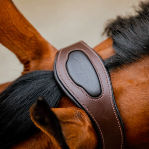 Horseware Horseware Signature Competition Headcollar in Brown/Blue Haze