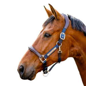 Horseware Horseware Signature Competition Headcollar in Brown/Navy