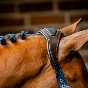 Horseware Horseware Signature Competition Headcollar in Brown/Navy
