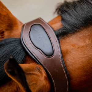 Horseware Horseware Signature Competition Headcollar in Brown/Navy