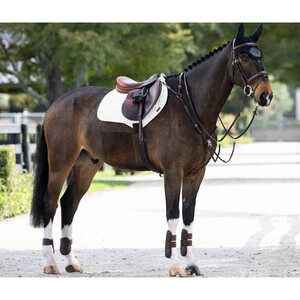 LeMieux LeMieux Pro-Sorb 2 Pocket Close Contact Square in White