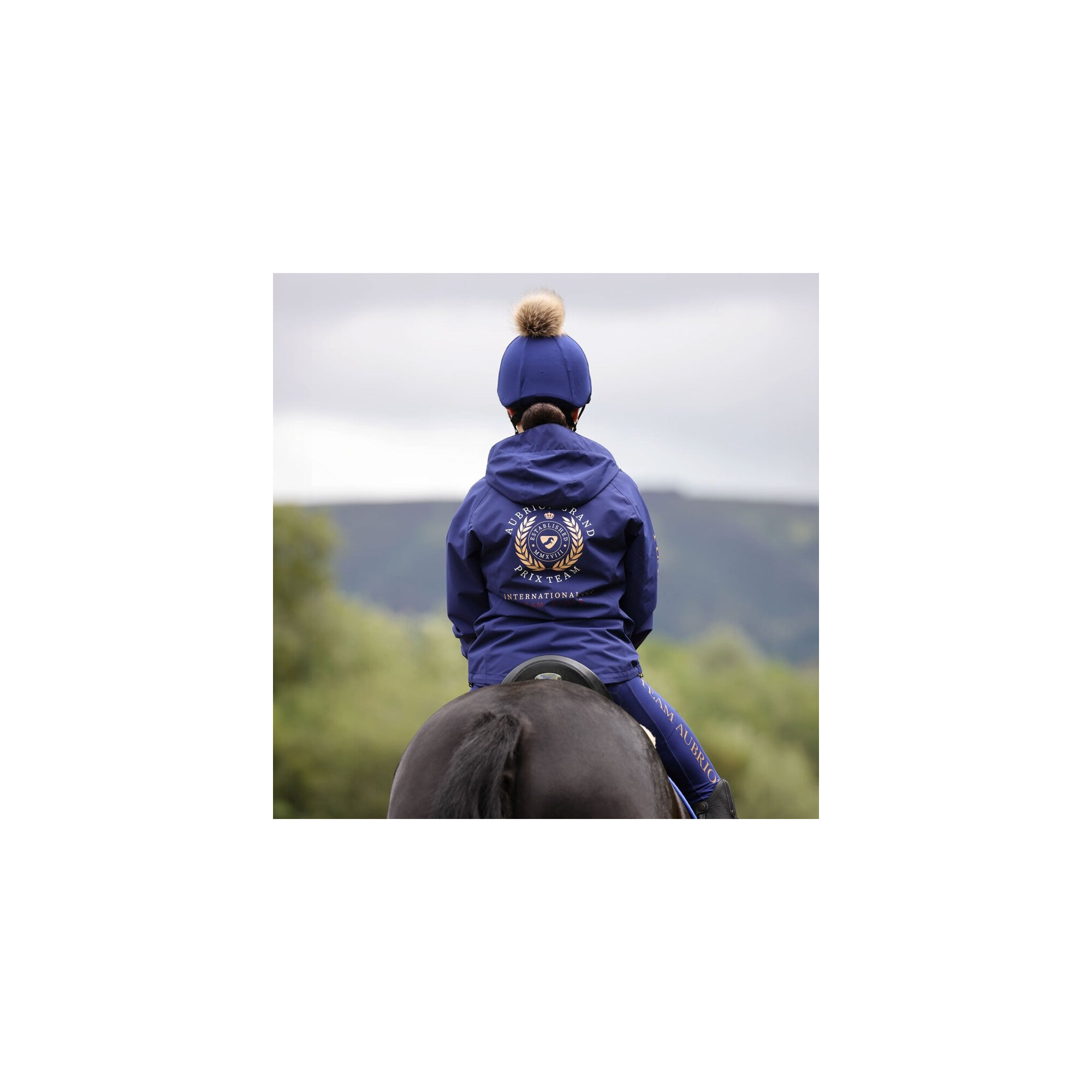 Aleko Veste Axworthy Homme Marine