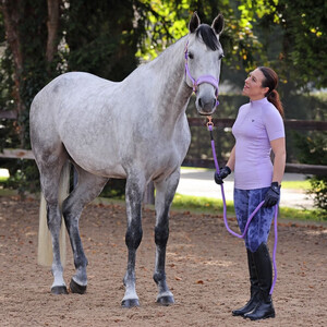 Shires Shires Aubrion Revive Short Sleeve Base Layer in Lavender