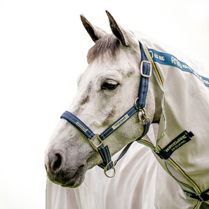 Horseware Horseware Field Safe Headcollar in Navy