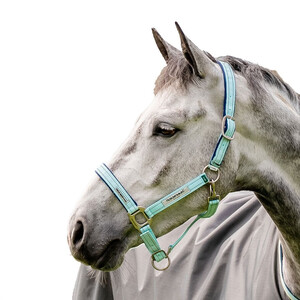 Horseware Horseware Field Safe Headcollar in Blue Haze