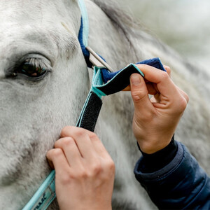 Horseware Horseware Field Safe Headcollar in Blue Haze