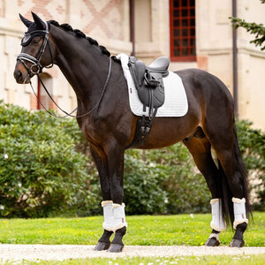 LeMieux LeMieux Merino+ Half Lined Dressage Square in White