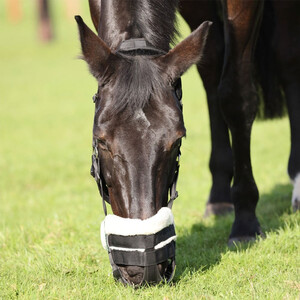 Shires Shires FreeGraze AirFlow Comfort Grazing Muzzle in Black