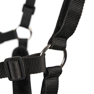 Shires Shires FreeGraze AirFlow Comfort Grazing Muzzle in Black