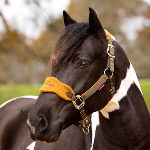 LeMieux LeMieux Vogue Fleece Headcollar and Leadrope Set in Alpine