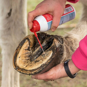 Leovet Leovet FrogMedic Spray 200ml 