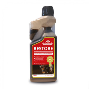 Global Herbs Global Herbs Restore Syrup 1lt 