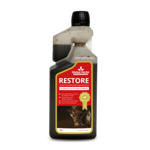 Global Herbs Global Herbs Restore Syrup 1lt 